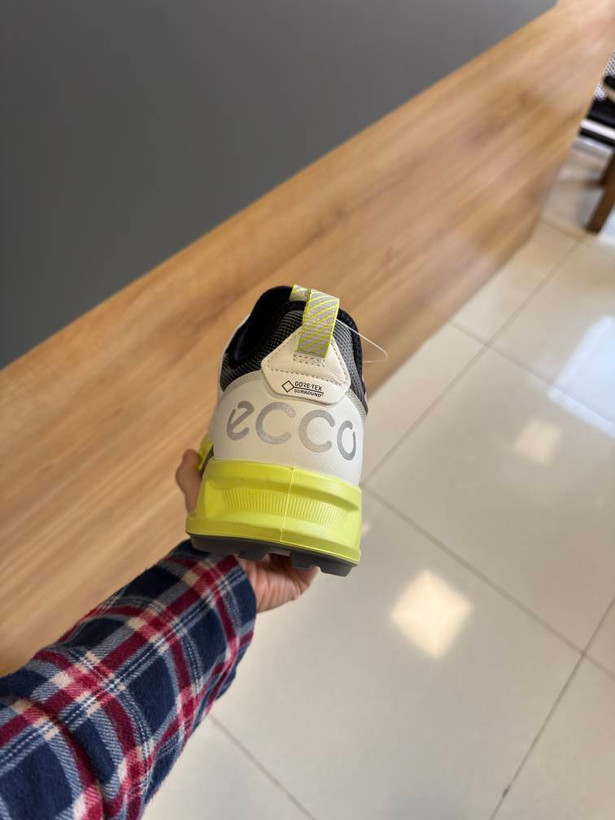 کفش مردانه ECCO Biom C4 GTX مدل 13042411007